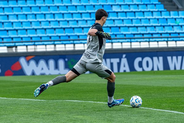 Effektive Methoden, um meinem Hund das Jagen von Wildtieren abzugewöhnen